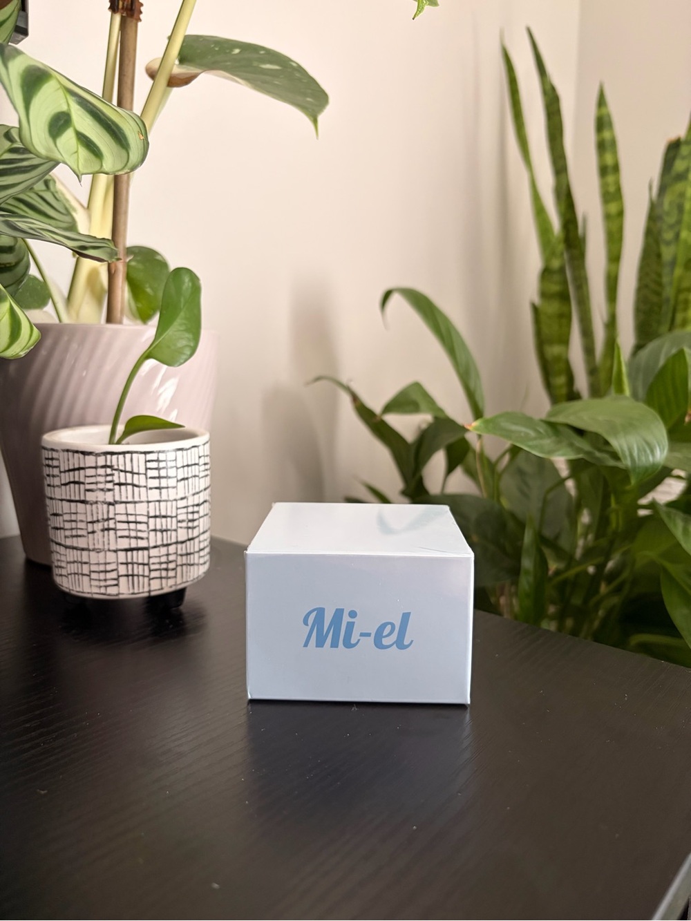 Mi-el Honey Infused Hydrating Face Moisturizer Cream
